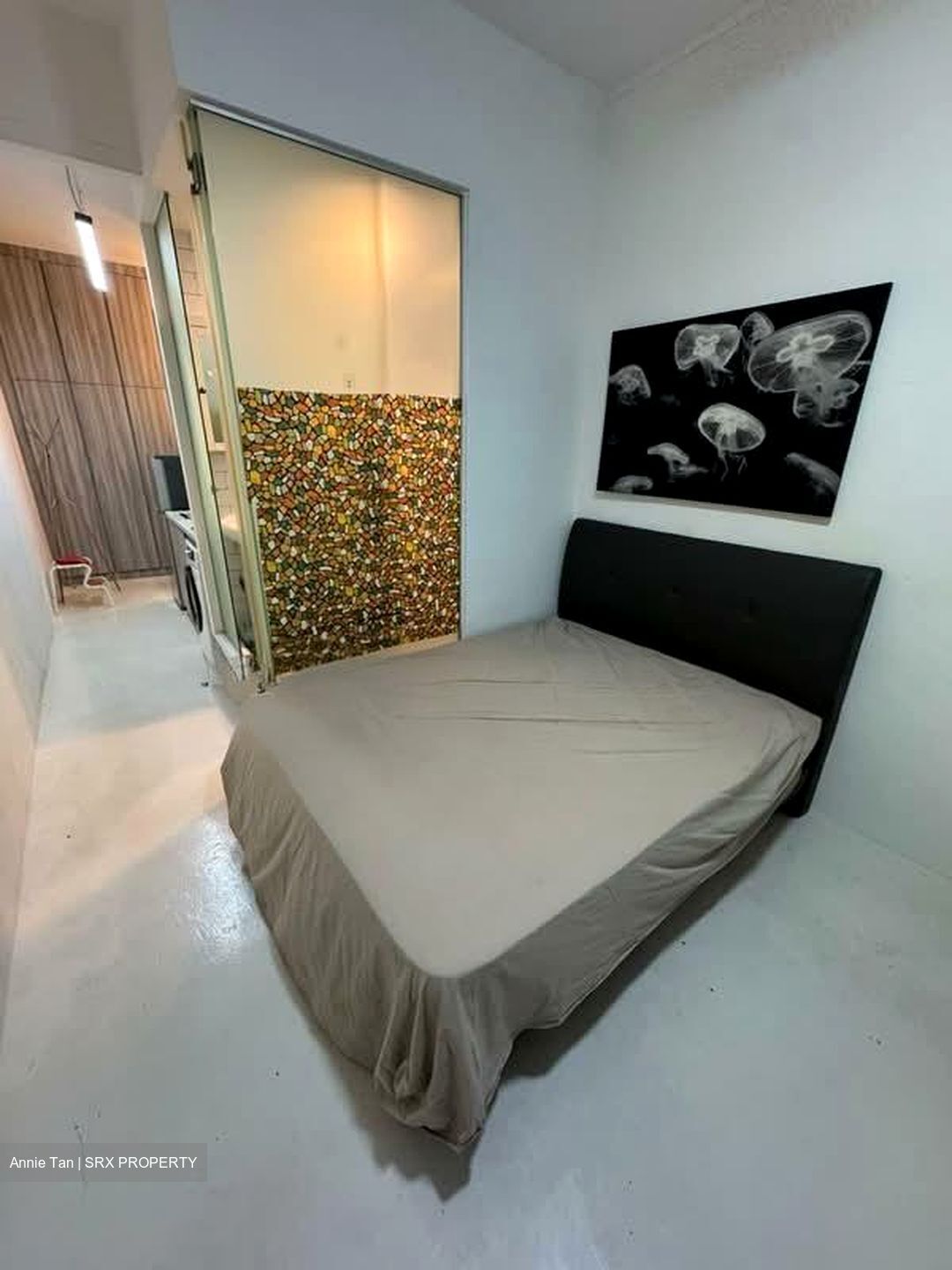 Balestier Road (D12), Apartment #575085651